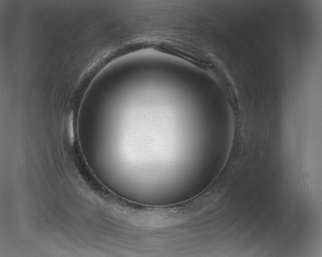 X0000078280020200611031220