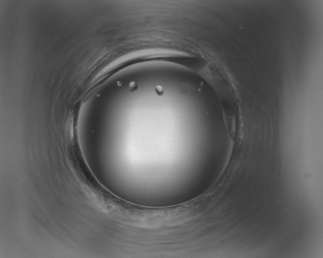 X0000078280021200611031220