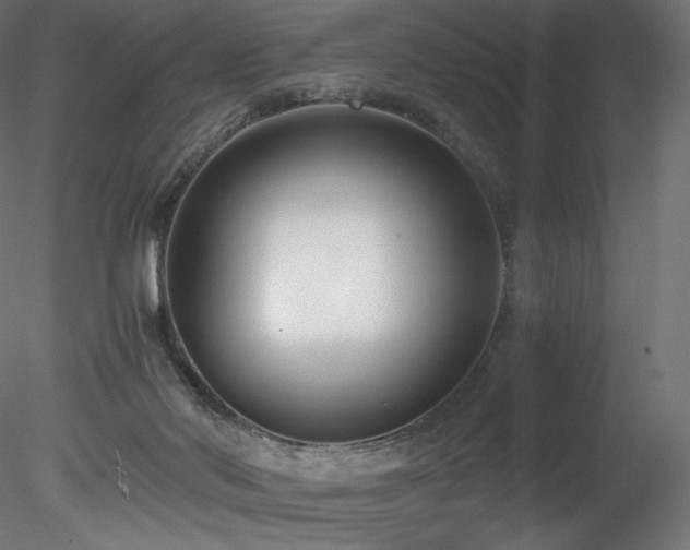 X0000078280022200611031220