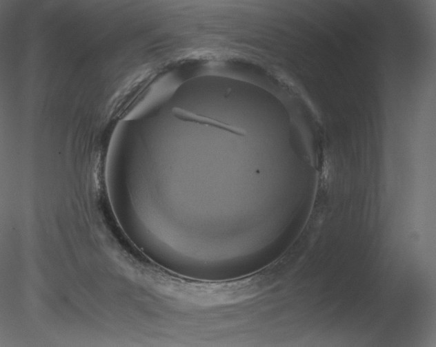 X0000078280023200611031220