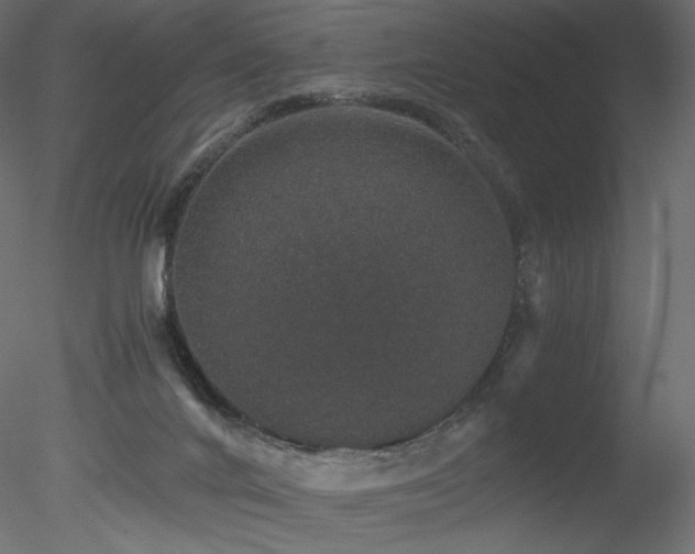 X0000078280024200611031220