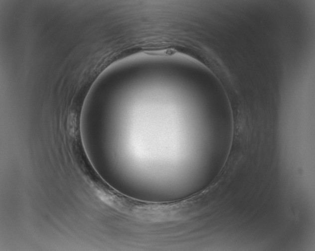 X0000078280025200611031220