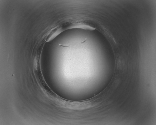 X0000078280026200611031220