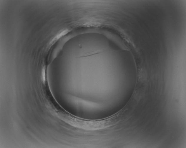 X0000078280027200611031220