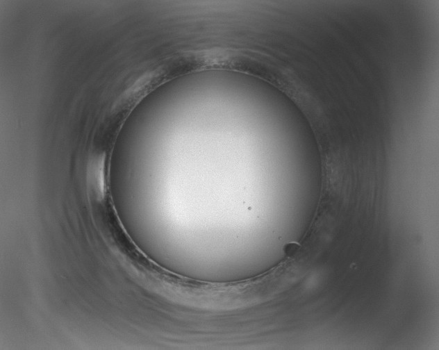 X0000078280028200611031220