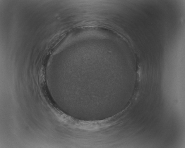 X0000078280029200611031220