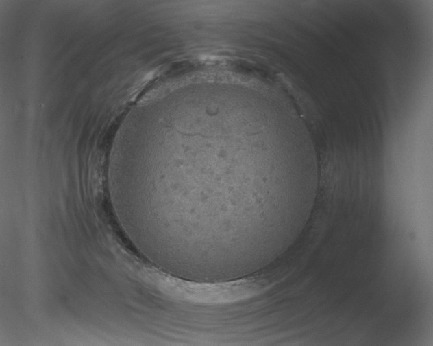 X0000078280030200611031220