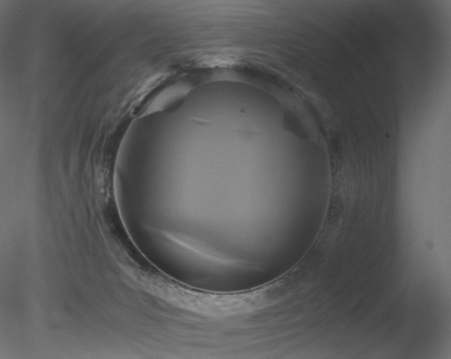 X0000078280031200611031220