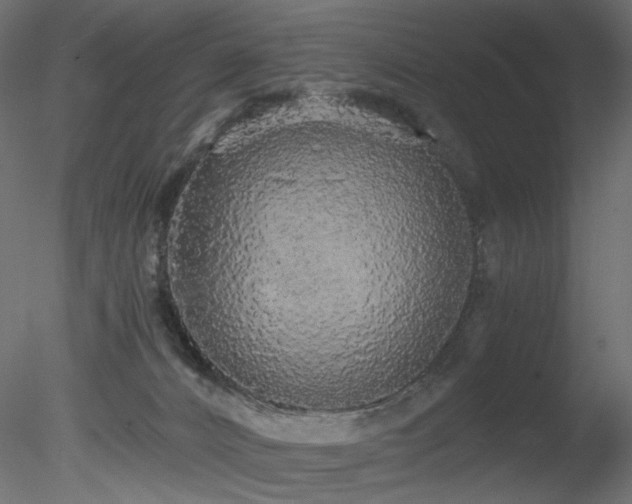 X0000078280032200611031220