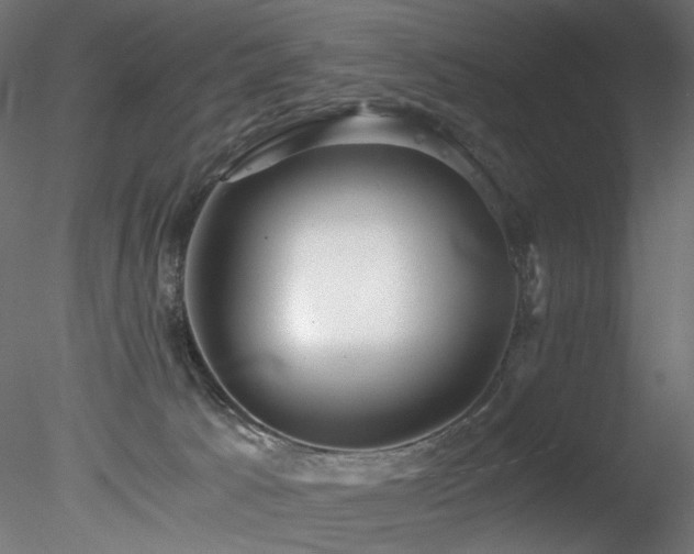 X0000078280033200611031220