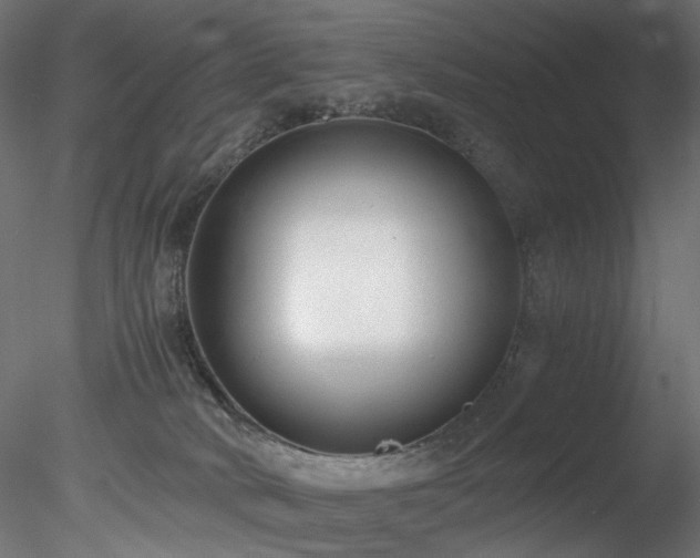 X0000078280034200611031220