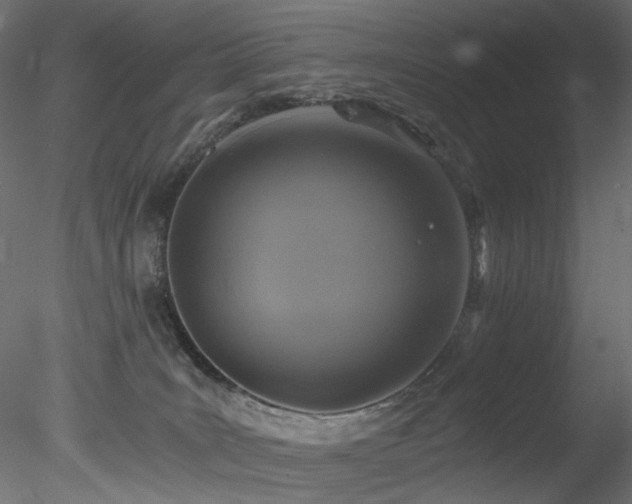 X0000078280035200611031220