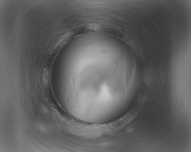 X0000078280036200611031220