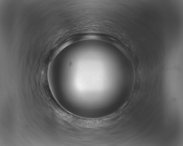 X0000078280037200611031220