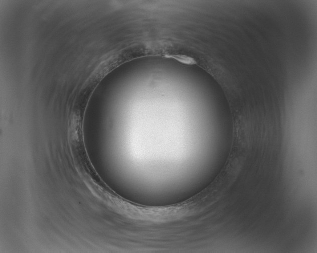 X0000078280038200611031220