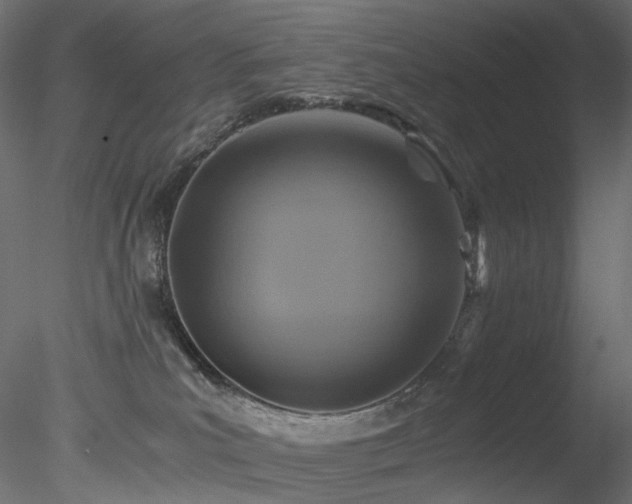 X0000078280039200611031220