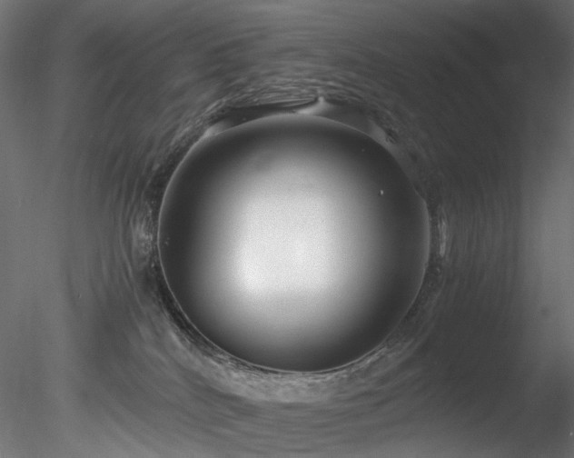 X0000078280040200611031220