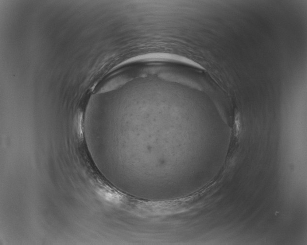 X0000078280041200611031220