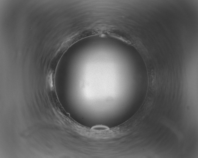 X0000078280042200611031220