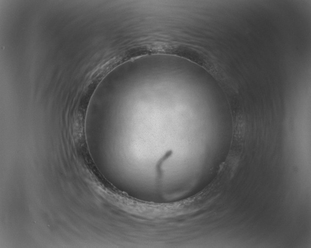 X0000078280043200611031220