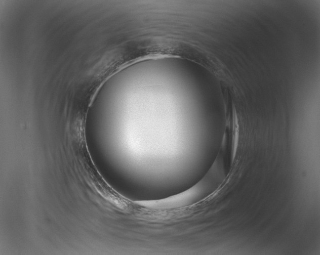 X0000078280045200611031220