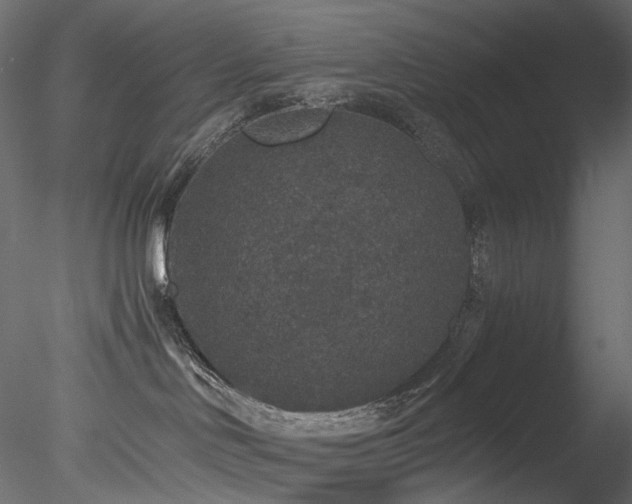 X0000078280046200611031220