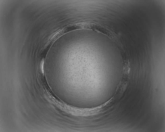 X0000078280047200611031220