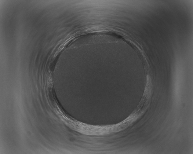 X0000078280048200611031220