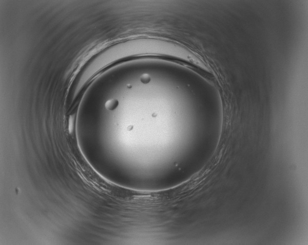 X0000078280050200611031219