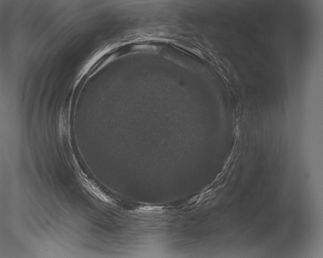 X0000078280052200611031219