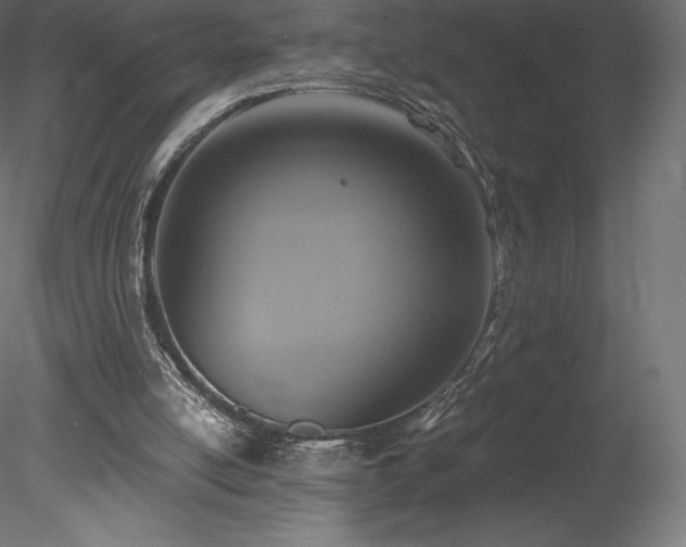 X0000078280054200611031219