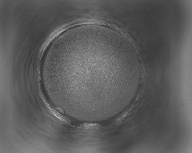 X0000078280055200611031219