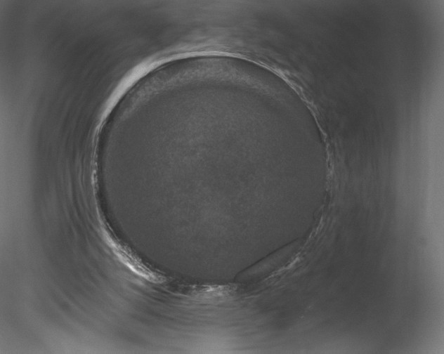 X0000078280056200611031219