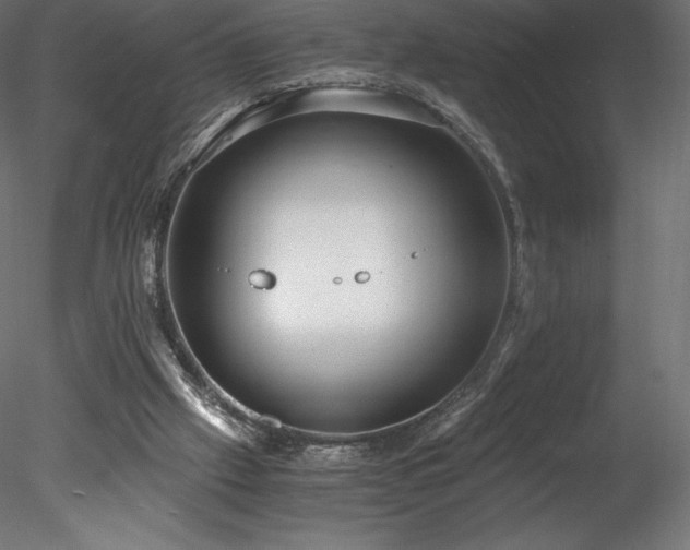 X0000078280057200611031219