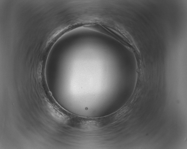 X0000078280058200611031219