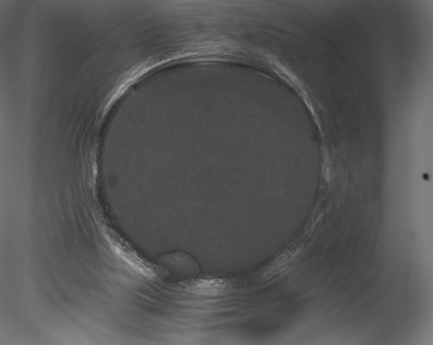 X0000078280059200611031219