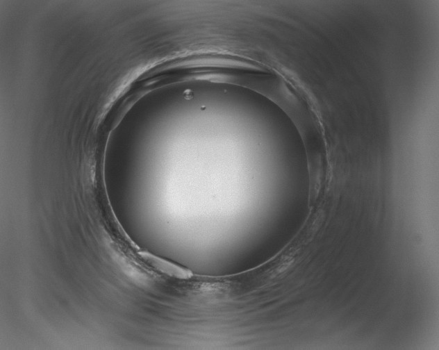 X0000078280060200611031219