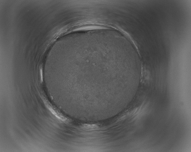 X0000078280061200611031219