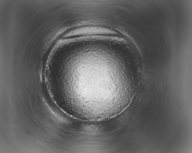 X0000078280062200611031219