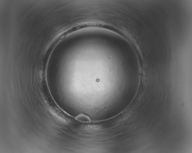 X0000078280063200611031219