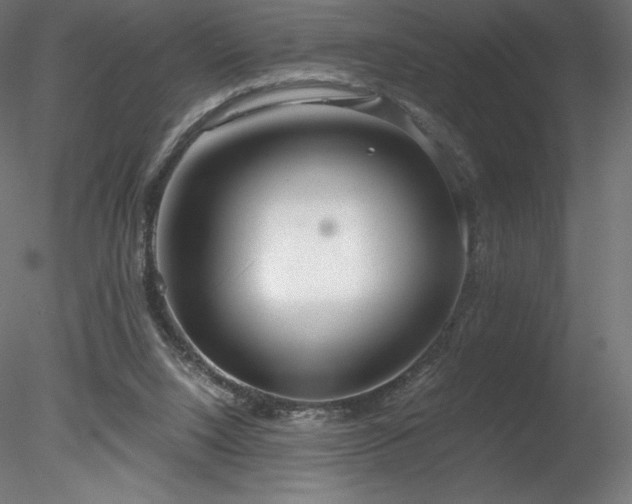 X0000078280064200611031219