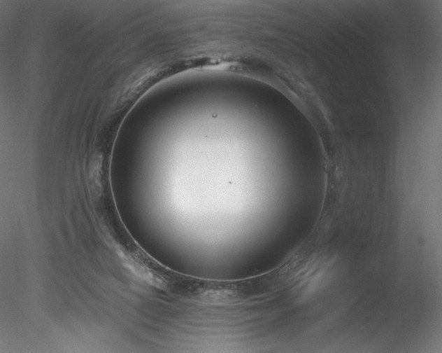 X0000078280066200611031219