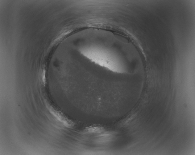 X0000078280067200611031219