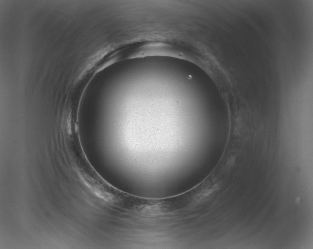 X0000078280068200611031219