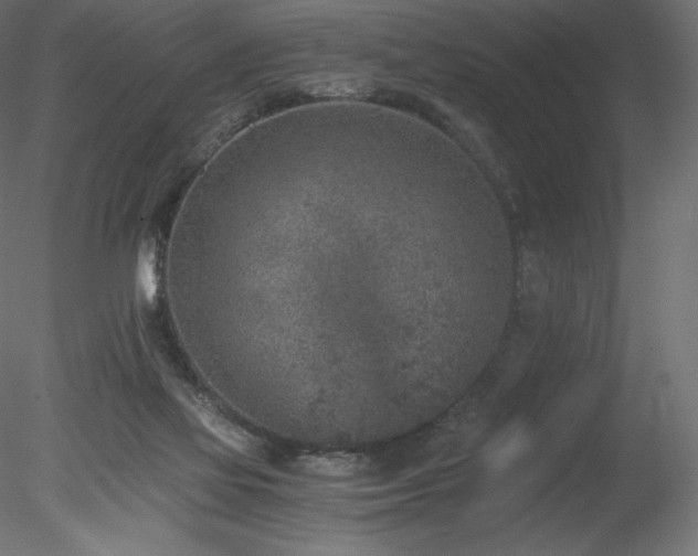 X0000078280069200611031219