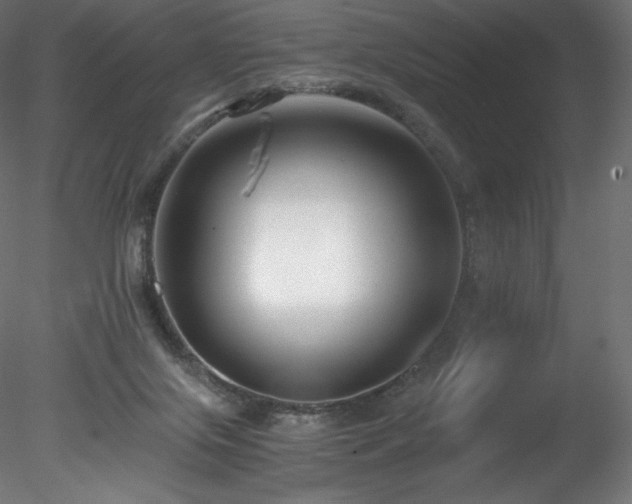 X0000078280071200611031219