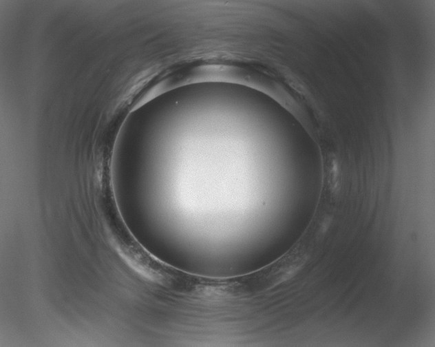 X0000078280072200611031219