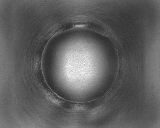 X0000078280073200611031219