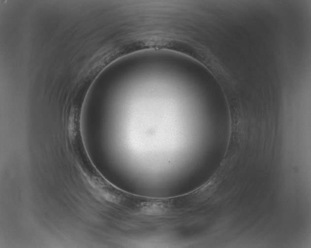 X0000078280074200611031219