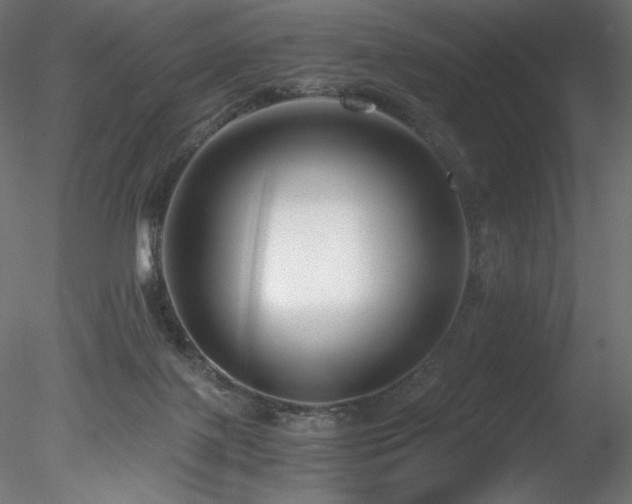 X0000078280075200611031219